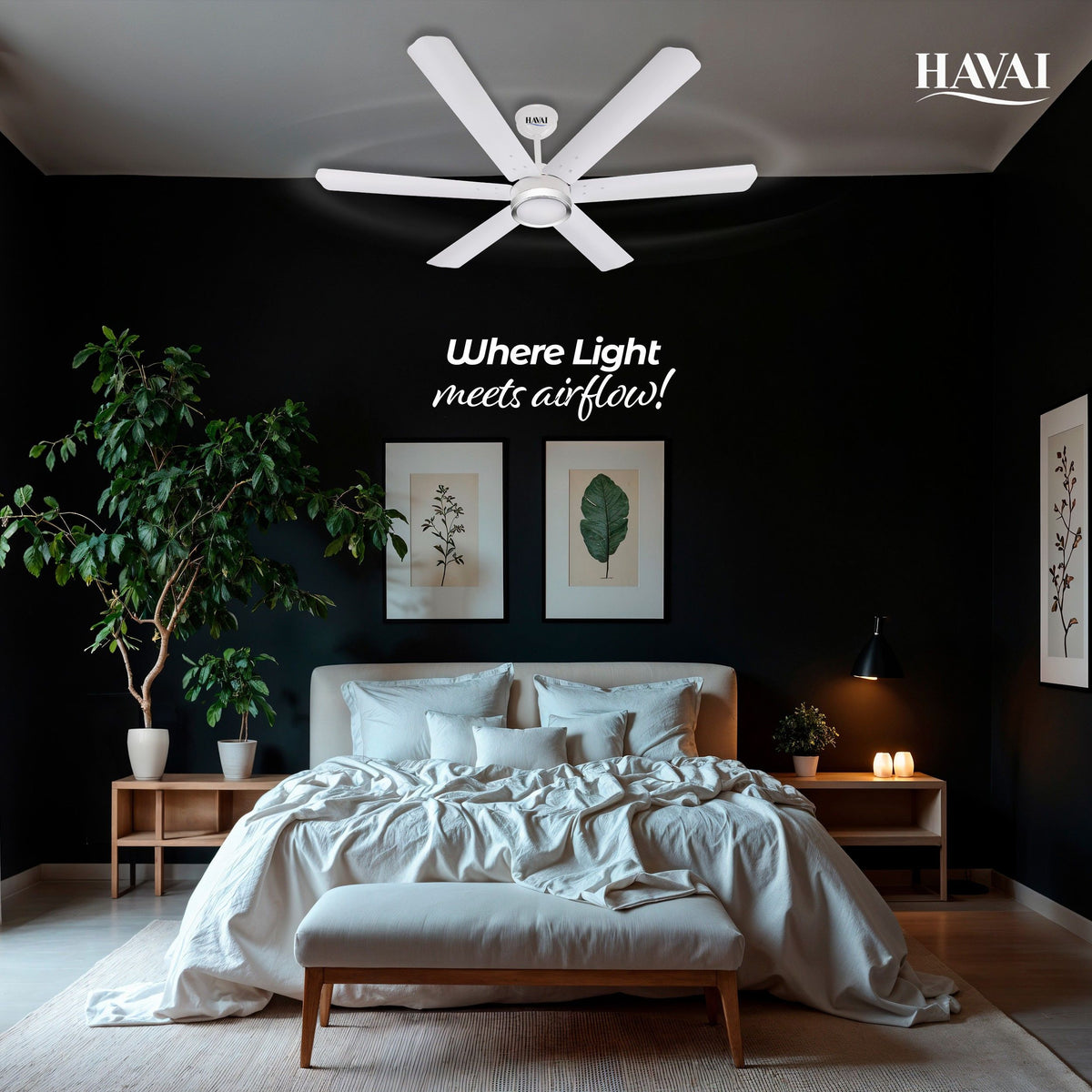 HAVAI Spinel BLDC Ceiling Fan with Decorative Ring | 1200mm, 6 Blades, 25W | Remote Control & 9W LED Light | 2 Years Warranty | Pearl White