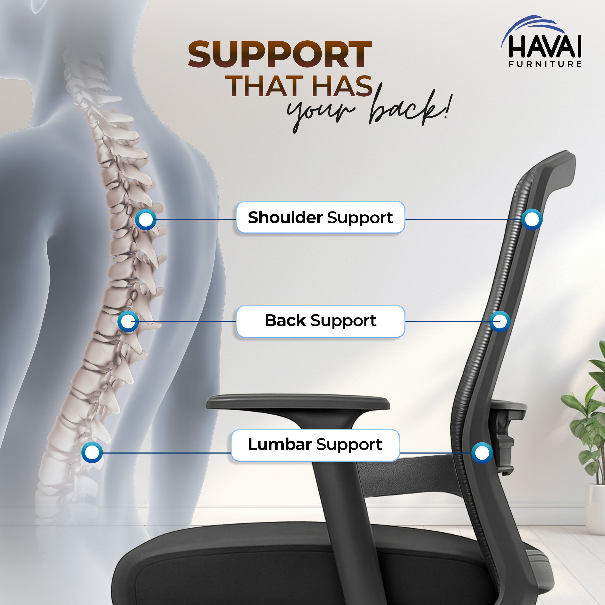HAVAI Ergolite Mid Back Ergonomic Mesh Office Chair | One Lock Tilt Mechanism | Fixed Armrests | Nylon Base | Breathable Mesh Back (Black)