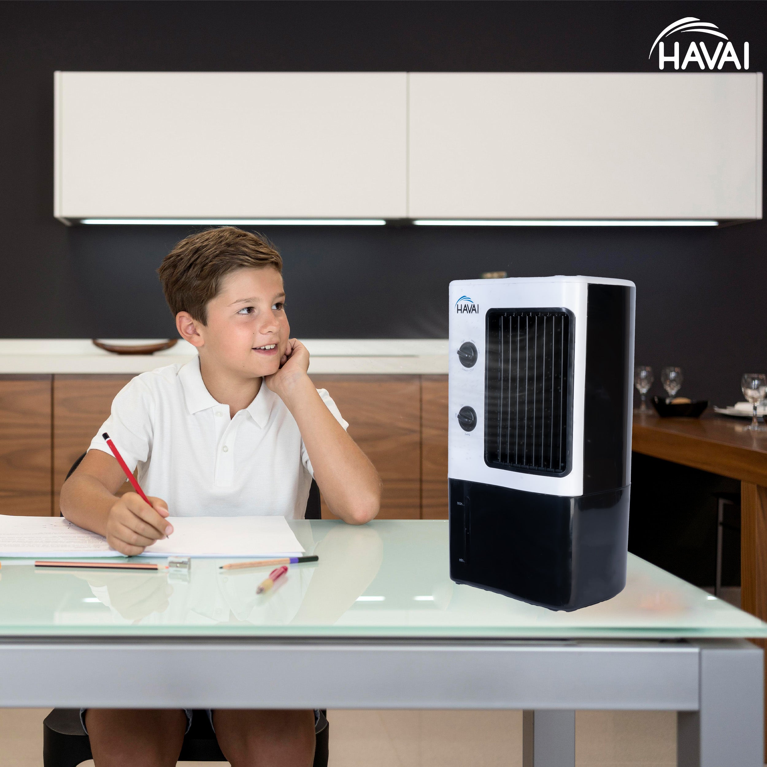 HAVAI Nano Table Cooler | Vertical Blower |Single Person Use|7 Litre Tank Capacity, Ice Box, 2 Feet Air Throw, 1 Year Warranty|3 Speed Control | Dualtone