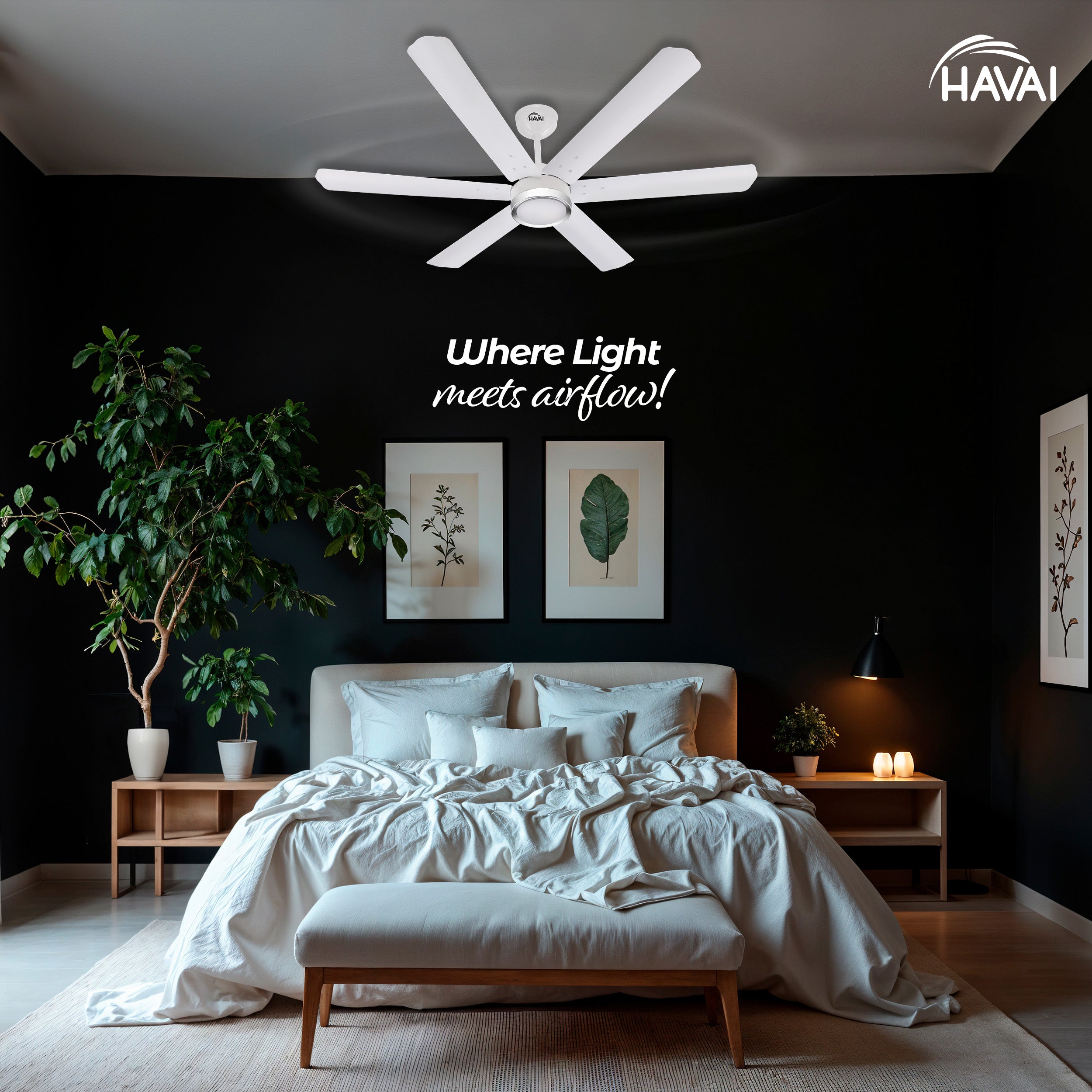 HAVAI Spinel BLDC Ceiling Fan with Decorative Ring | 1200mm, 6 Blades, 25W | Remote Control & 9W LED Light | 2 Years Warranty | Pearl White
