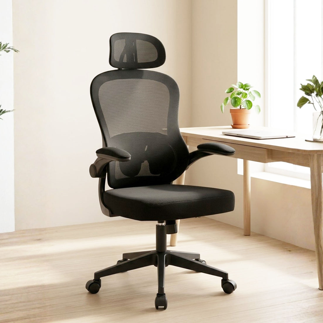 HAVAI LUMA BLACK Ergonomic Mesh Office Chair | Mid Back | Breathable Net Fabric | Height Adjustable | Class 2 Gas Lift | Nylon Base | Smooth Wheels | WFH &amp; Office (BLACK)