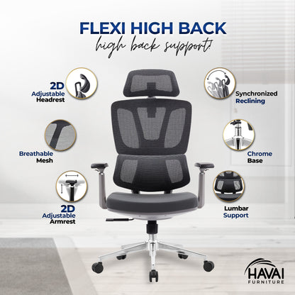 HAVAI Flexi High Back Black Mesh Ergonomic Office Chair |  Multi-Lock Synchro Tilt | Aluminium Base | Class 4 Gaslift | Seat Slider | 3D Adjustable Armrests | 50mm Casters | Premium Mesh Back &amp; Fabric Seat(Grey)