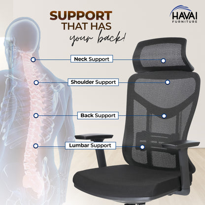 HAVAI Pulse High Back Ergonomic Mesh Office Chair |  Multi-Lock Tilt Mechanism | Chrome Base| Breathable Mesh Back | Fixed Headrest (Black)