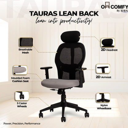 Tauras Lean Back High Back Mesh Ergonomic Office Chair | Single Lock Synchro Tilt | Nylon Base | Class 4 Gaslift | 2D Adjustable Armrests | 50mm Casters | Premium Mesh Back &amp; Fabric Seat