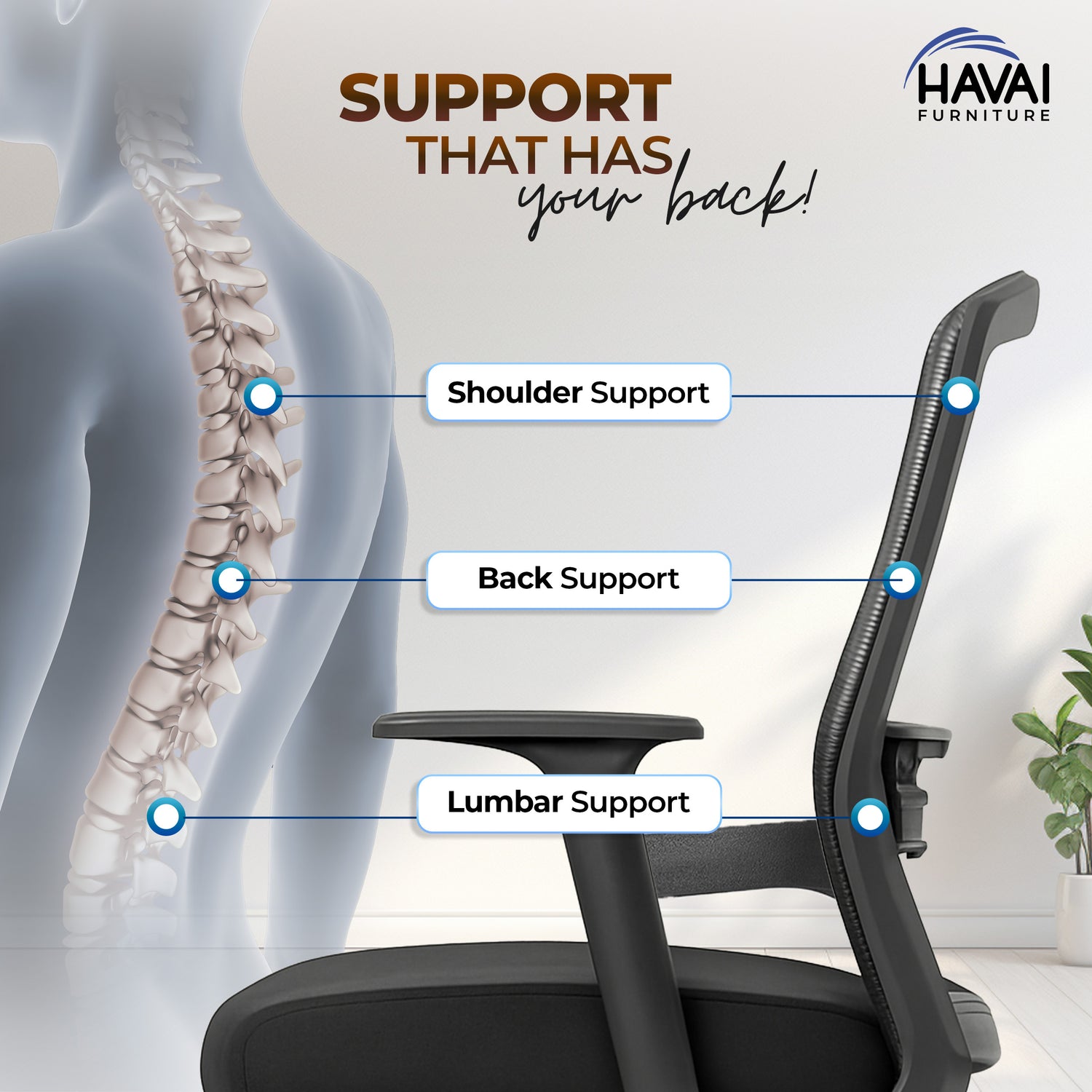 HAVAI Ergolite Mid Back Ergonomic Mesh Office Chair |  One Lock Tilt Mechanism | Fixed Armrests | Nylon Base |  Breathable Mesh Back (Black)