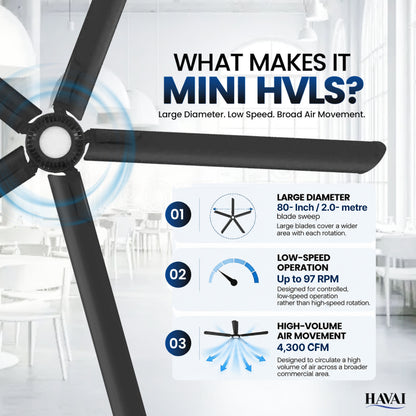 Havai Mini HVLS BLDC Ceiling Fan 80 Inch, 6500 CFM Commercial 95W BLDC Motor, 6,500 CFM Air Volume, 130 RPM, 850 Sq. Ft. Coverage, 5 Aluminium Blades, 18W 3-Colour Light, Remote