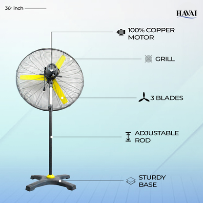 HAVAI BLDC Pedestal Fan 36 inch, 50% Savings on Electricity, High Velocity, Heavy Duty Metal for Industrial, Commercial and Residential Use, Assembly Included