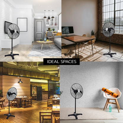 Havai BLDC Pedestal Fan 30 Inch, 50% Savings On Electricity, High Velocity, Heavy Duty Metal For Industrial, Commercial And Residential Use, Assembly Included , Black
