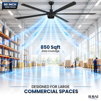 Havai Mini HVLS BLDC Ceiling Fan 80 Inch, 6500 CFM Commercial 95W BLDC Motor, 6,500 CFM Air Volume, 130 RPM, 850 Sq. Ft. Coverage, 5 Aluminium Blades, 18W 3-Colour Light, Remote