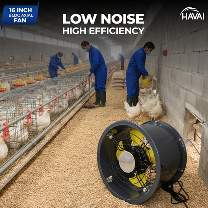 HAVAI 16-Inch Commercial BLDC Axial Fan | Stepless Speed Control | Low Noise | Aluminium Blade | 2000–6000 m³/h Air Volume | 40–80% Energy Saving | No Winding Burnouts | 2-Year BLDC Motor Warranty