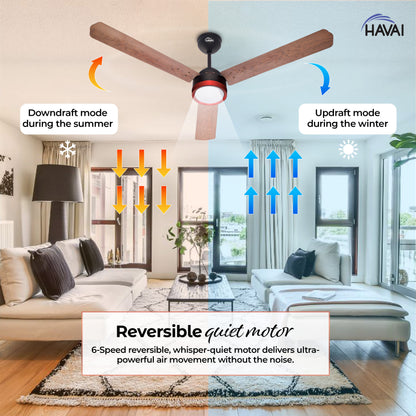 HAVAI Spinel BLDC Ceiling Fan with Decorative Ring | 1200mm, 3 Blades, 27W | Remote Control &amp; 9W LED Light | 2 Years Warranty | Smoky Brown