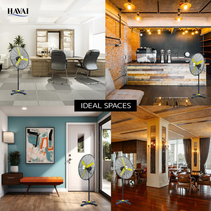 HAVAI BLDC Pedestal Fan 36 inch, 50% Savings on Electricity, High Velocity, Heavy Duty Metal for Industrial, Commercial and Residential Use, Assembly Included