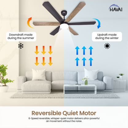 HAVAI Pristine Dualtone Range BLDC Ceiling Fan - 6 Blades - 35W, Ashwood and Smoke Brown 1200mm Blade with Remote (White Motor – 9W LED)