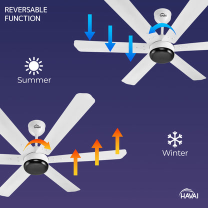 HAVAI Spinel BLDC Ceiling Fan - 6 Blades – Black Motor - 35W, 1200mm Blade with Remote – 0.5W LED (Pearl White)