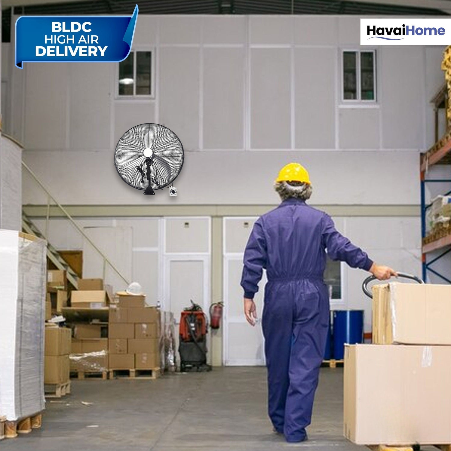 30" BLDC High-Speed Wall-Mount Fan – 3-Blade Design, Energy Efficient (20W-135W), 700-1400 RPM, 18,000 M³/Hr Airflow, 75-Foot Air Throw, 4-Speed Control, 2-Year Warranty