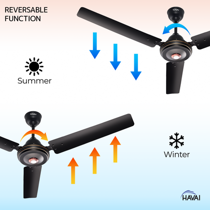 HAVAI Spinel BLDC Ceiling Fan 28W, 1200mm Blade with Remote - Smoky Brown