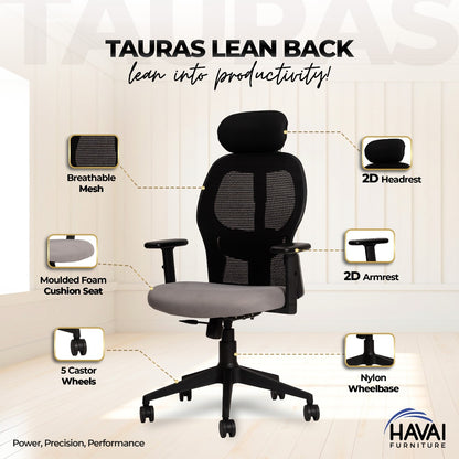 HAVAI Tauras Lean Back High Back Mesh Ergonomic Office Chair | Single Lock Synchro Tilt | Nylon Base | Class 4 Gaslift | 2D Adjustable Armrests | 50mm Casters | Premium Mesh Back &amp; Fabric Seat